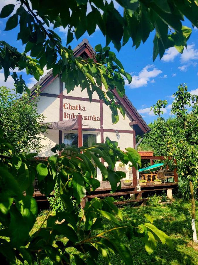 Chatka Bukowianka W Bukowcu Kolo Karpacza Bukowiec (Lower Silesia) Exterior foto